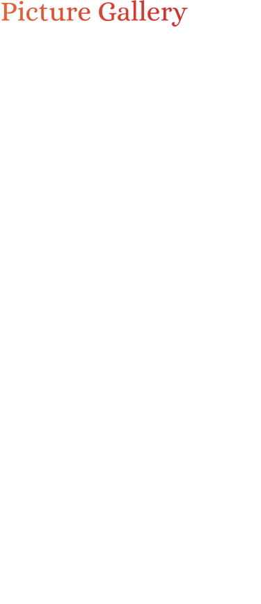 Picture Gallery  Click on any picture to enlarge.