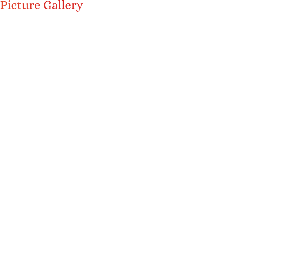 Picture Gallery  Click on any picture to enlarge.